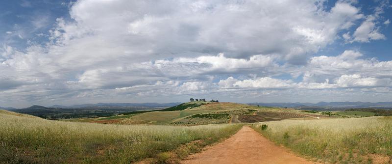 dairy farmers sky 2.jpg